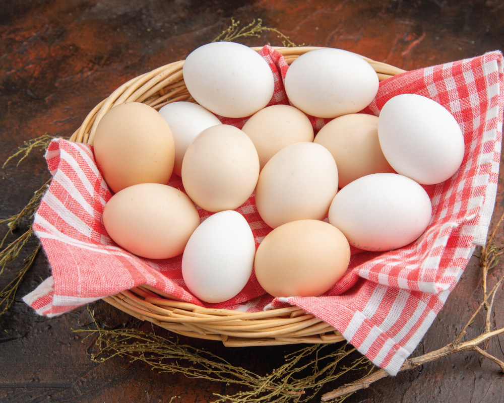 Agro-Commodities-Trading-(2)