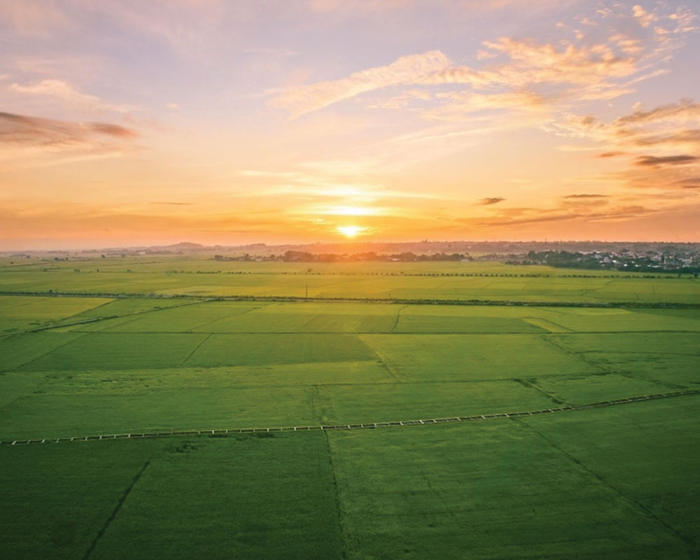 Sourcing-&-Backward-Integration-2